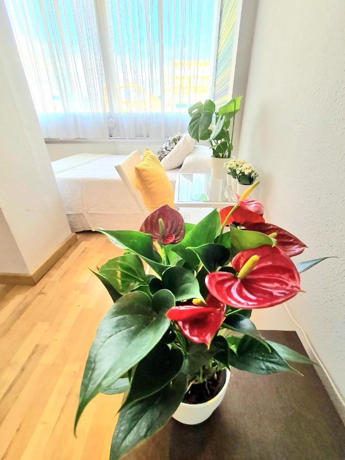 Aa Guest - El Mono De Torre Del Mar Eco Apartment ภายนอก รูปภาพ